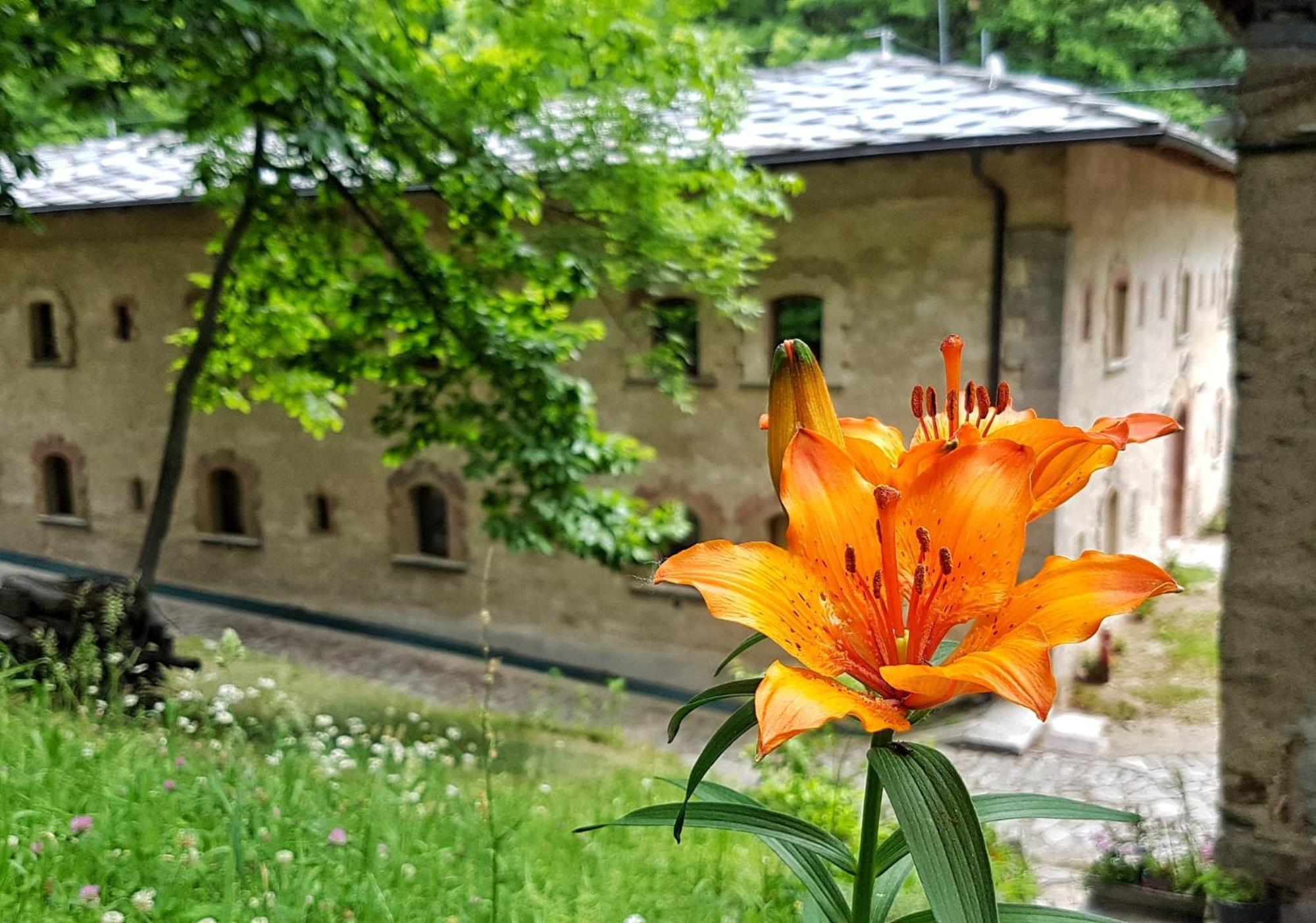 Forte Di Machaby Hostel Arnad Exterior foto